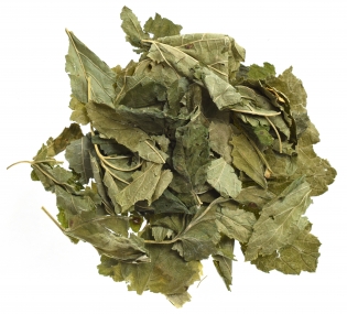 Смородина лесная